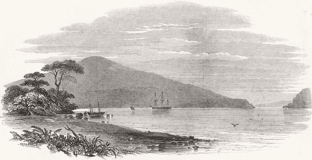 NEW ZEALAND. Harbour of Auckland Island 1848 old antique vintage print picture